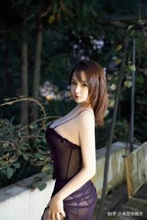 藤本树