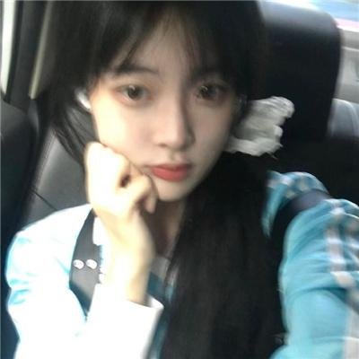 藤本树