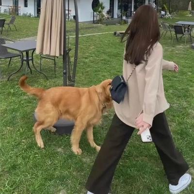 我们是伯利恒